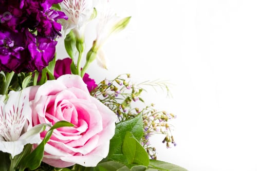 Preview: Closeup Of A Pink Rose In A Bouquet Of Flowers On A White Background
