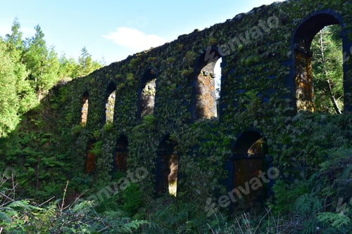 Preview: Moss And Grass Covered Aqueduct With Arches.