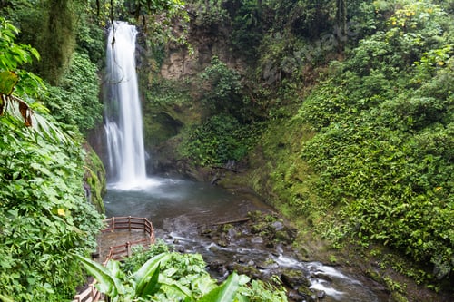 Preview: Beautiful Waterfall In A Tropical Rain Forest In Central Costa Rica