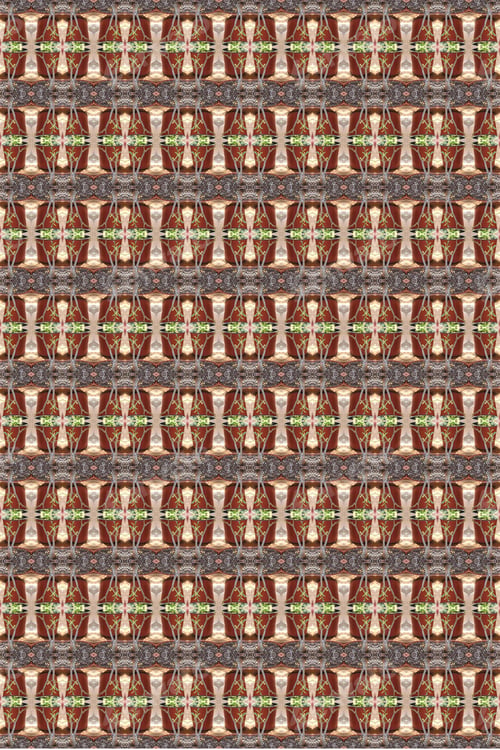 Preview: A Small Adenium Plant Abstract 0216