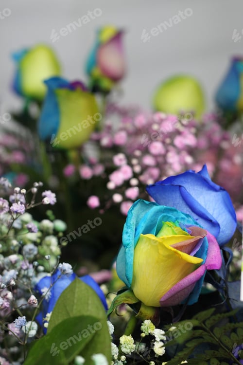 Preview: A Floral Bouquet Of Multicolor Roses With Pink Ginestra And Snowy Babys Breath 7665
