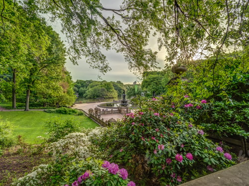 Preview: Central Park, Manhattan, New York City In Spring,On Foggy Misty Day