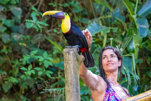 Preview: Nauyaca, Costa Rica - January 28: Woman Petting A Wild Toucan In The Rainforest Of Costa Rica