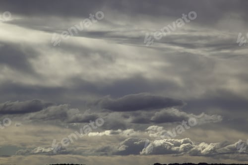Preview: Landscape Of Dirt Road Going Off Through The Trees And Brush