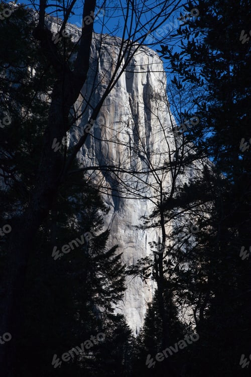 Preview: Mountain Through The Woods In The Morning Sun