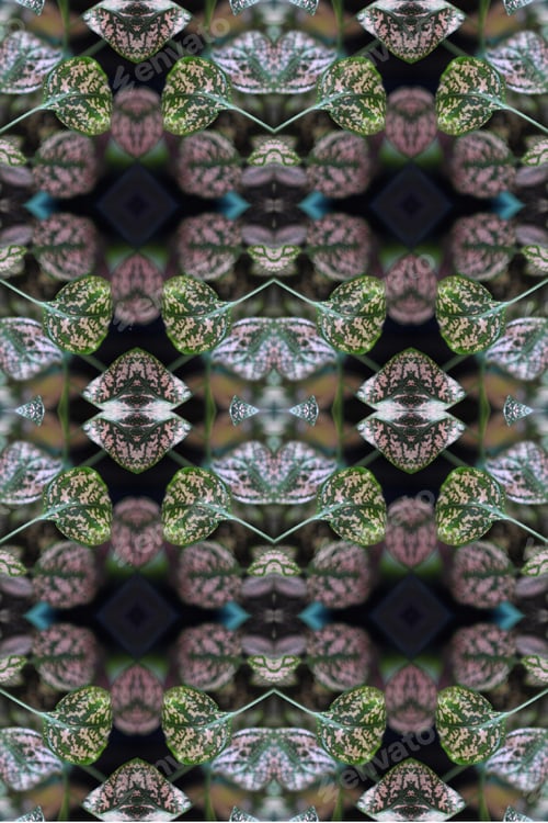 Preview: A Potted Pink Splash Plant Abstract With Lush Spotted Leaves 0273