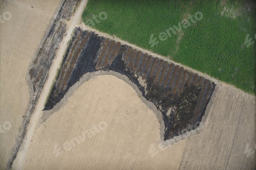 Preview: Aerial View Of Farm. Sugar Cane Agriculture.