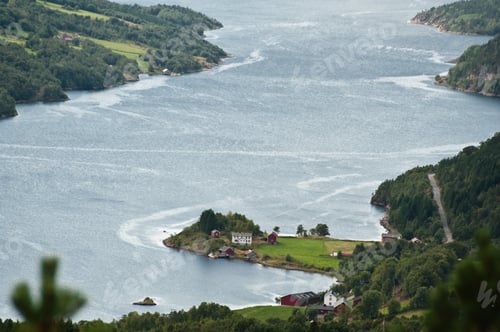 Preview: Quite Norwegian Landscape - Fjord, Hills And Red Berries