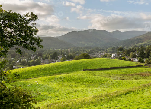 Preview: Sheep In Meadows Over Ambleside Near Windermere In Lake District In Evening