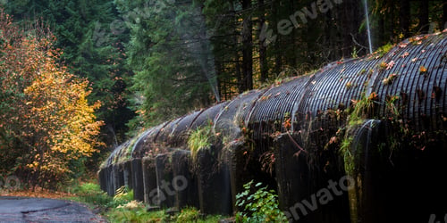 Preview: Wooden 12 Foot Diameter Pipeline Diverting Water From The North Umpqua River To A Powerhouse