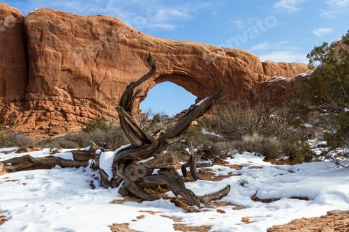 Aperçu: Snowy Scene In Arches National Park With North Window In The Background And An Old Dead Tree In