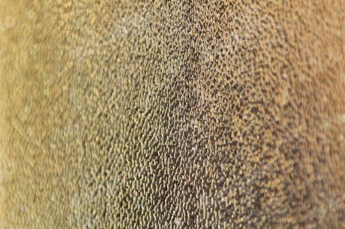 Preview: Colorful Stained Glass - Color Background Of Textured Surfaces - White