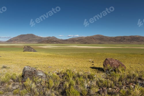 Preview: Green Grasslands Growing In An Ancient Dried Lake Bed In Northern Nevada After Heavy Rainfall In
