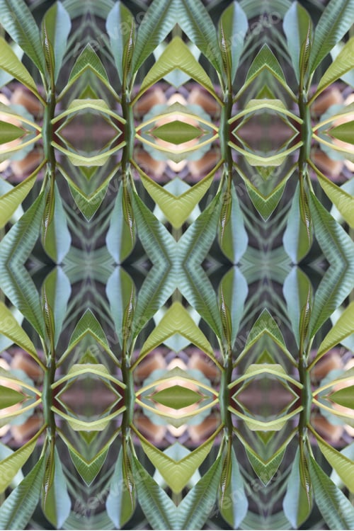 Preview: An Abstract Of Fresh Green Plumeria Rubra Leaves 0035