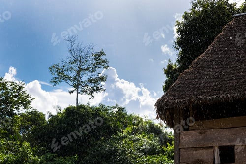 Preview: Image Of A Traditional House In Peruvian Amazon Forest. House Of Indigenous People From The