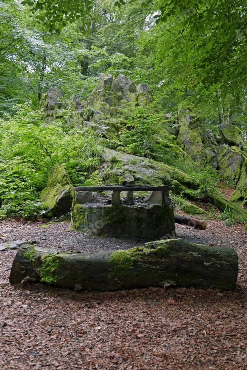 Preview: Round Grill In The Forest