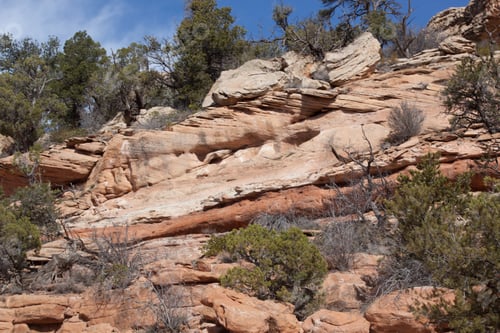 Preview: Landscape With Rocks And Trees