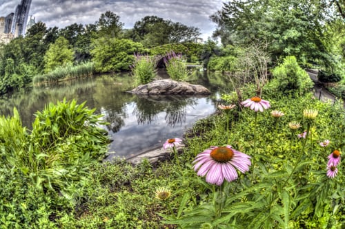 Preview: Central Park, New York City Gapstow Bridge In Summer