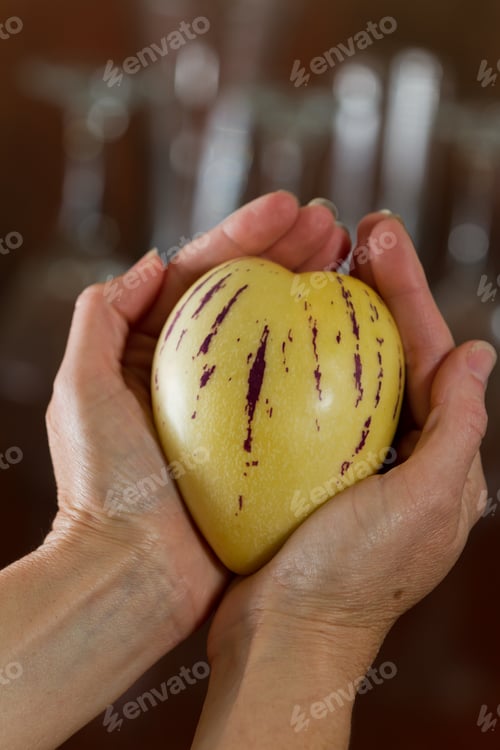 Preview: Female Hands Holding A Heart Shaped Pepino Melon