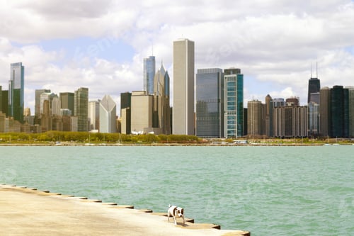 Preview: City Sidewalk With Dog And Skyline In Background