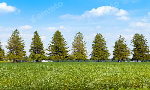Preview: American Countryside