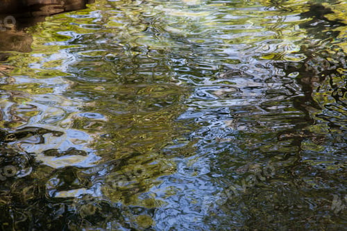 Vorschau: Zusammenfassung des wasserreflektierenden Himmels und der Bäume