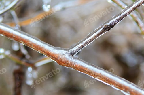 Preview: Ice In Nature Background - Winter Season - Twig Silver