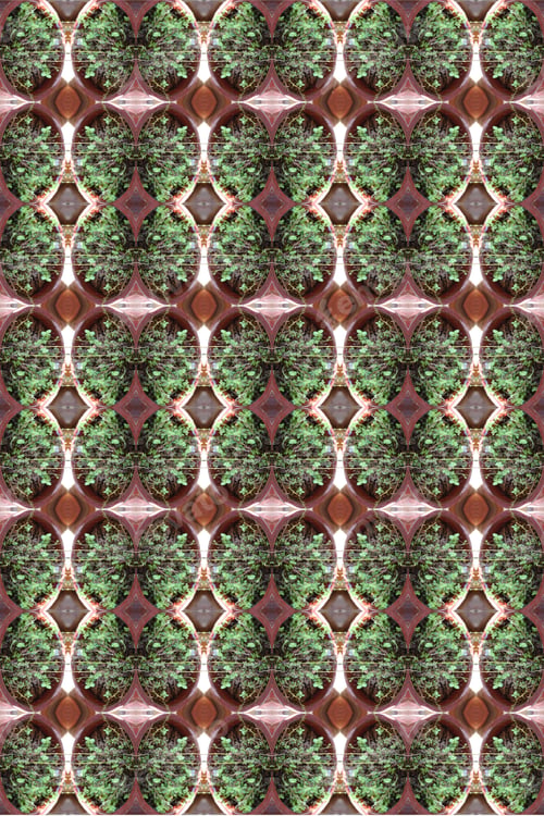 Preview: A Sweet Mint Bush Abstract With Leaves Damaged By Summer Heat And Garden Pests 0449