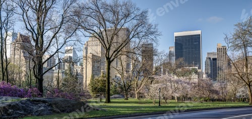 Preview: Spring In Central Park, New York City