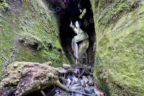 Preview: Amazing Vancouver Island Series - Sombrio Cave Waterfall Outside Full Shot 1.