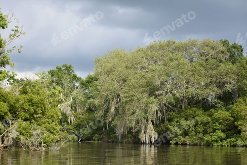 Preview: Views Of The Barataria Preserve In New Orleans.