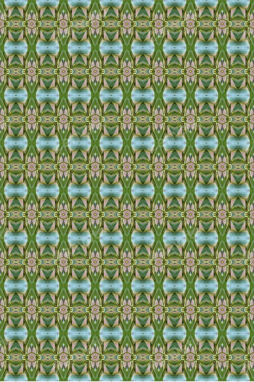 Preview: A Plumeria Rubria Plant Abstract With Lush Green Leaves 0561