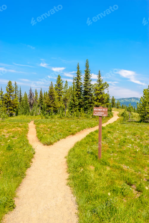 Preview: Beautiful Mountain Trail. Blackwall Peak Trail At Manning Park In British Columbia. Canada.