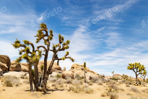 Preview: View Of The American Southwest Desert Landscape