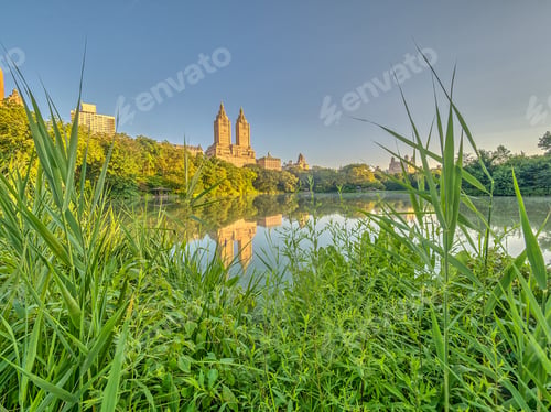 Preview: At The Lake In Central Park, New York City