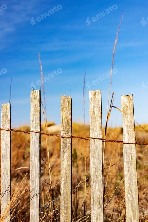 Preview: Wooden Dune Fence Against A Blue Sky On A Clear Sunny Day