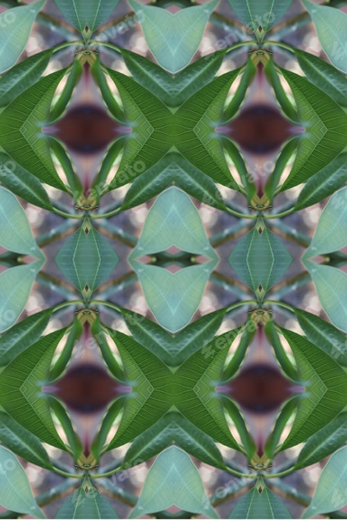 Preview: An Abstract Of Fresh Green Plumeria Rubra Leaves 0044