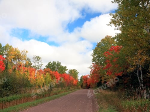 Fall In Minnesota