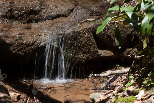 Preview: Small Waterfall With Green Leaves
