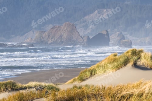 Preview: Beautiful Landscape From The Grassy Sand Dunes At Pistol River Oregon