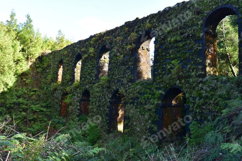 Preview: Archways Of An Old Aqueduct Covered In Moss And Grass.