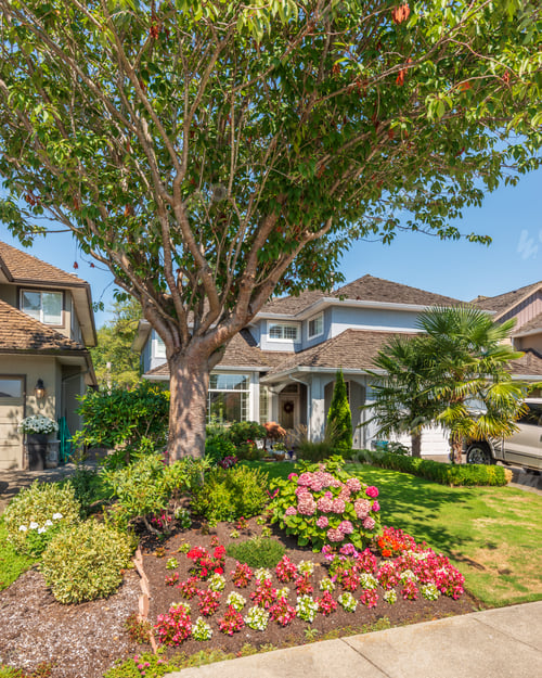Aperçu: A Perfect Neighbourhood. Houses In Suburb At Summer In The North America. Luxury Houses With Nice