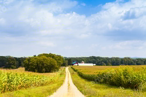 Preview: American Countryside Corn Field With Stormy Sky