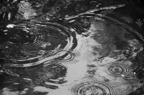 Preview: Abstract Rain Making Rings In Water