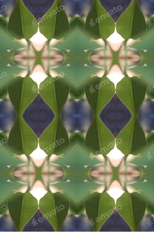 Preview: An Abstract Of Fresh Green Plumeria Rubra Leaves 0039