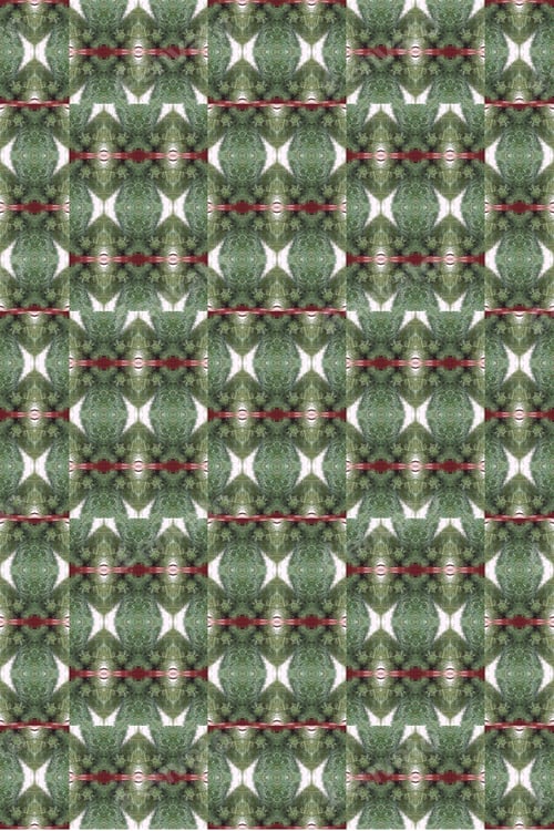 Preview: A Rosemary Herb Plant Abstract Design With Green Leaves 0472