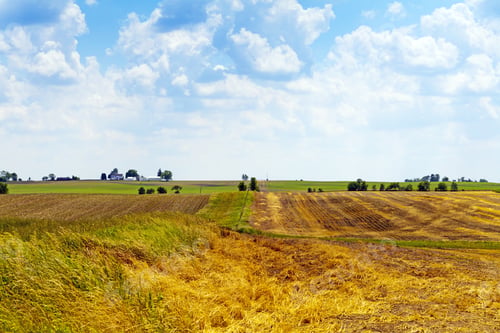 Preview: American Countryside