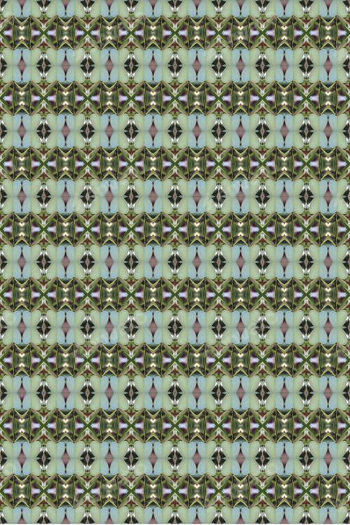 Preview: An Abstract Of Fresh Green Plumeria Rubra Leaves 0038