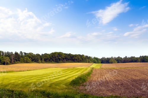 Preview: American Countryside