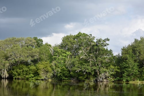 Preview: Spring Day With Scenic Views Of The Bayou.